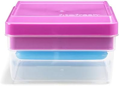 Fit & Fresh Sandwich and Snack Set, Dual Container with Ice Pack, Adult and Kids Lunch Container, Sandwich Container for Lunch Box, Blue