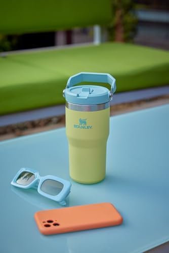 STANLEY IceFlow 2.0 Flip Straw Tumbler with Handle 20 oz | Twist On Lid and Flip Up Straw | Leak Resistant Water Bottle | Insulated Stainless Steel | BPA-Free | Chili Red