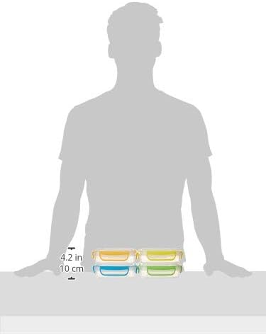 Snap Fresh - 4 Pack of Fun Size Sandwich Containers (450 ml) - Reusable, BPA Free Plastic, Snap & Lock Shut Lids and Silicone Seal. Great for Fruit, Salad, Lunch Box Snacks and Food Storage.