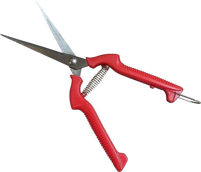 GARDEN GURU Extra Long Stainless Steel Pruner Pruning Shears Clippers Snips – Sharp Bonsai Cutter Trimming Scissors – Straight Blade Garden Scissors Tool – Great for Flowers Herbs - 1 Case (50 Pcs)