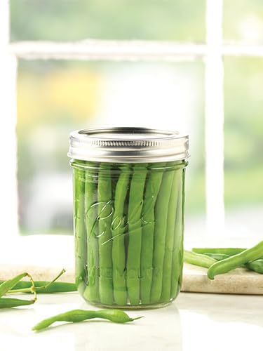 Ball Wide Mouth Glass Mason Jars with Lids and Bands, Used for Canning, Pickling, Juice, Jam, Jelly, Pint Size 16 Ounce (Pack of 3)