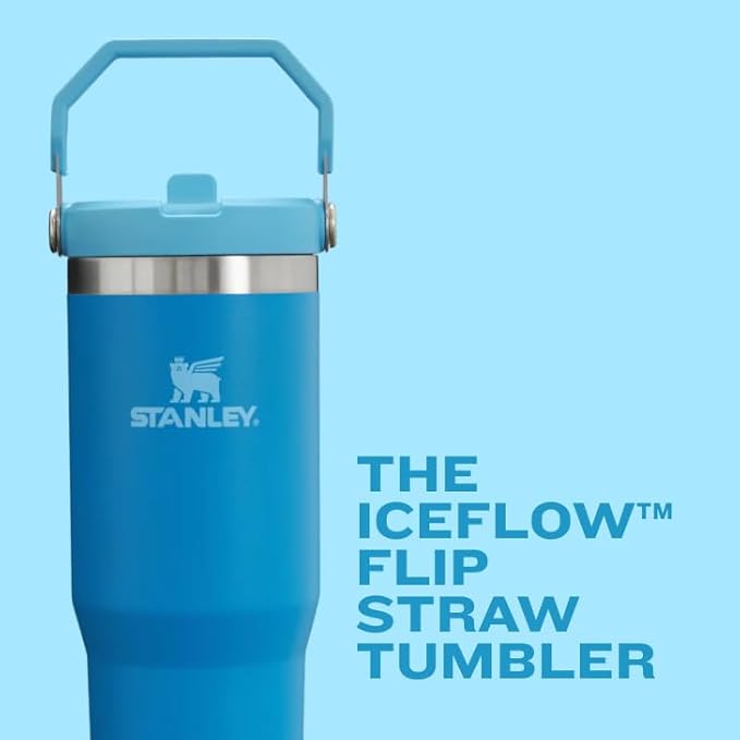 STANLEY IceFlow 2.0 Flip Straw Tumbler with Handle 20 oz | Twist On Lid and Flip Up Straw | Leak Resistant Water Bottle | Insulated Stainless Steel | BPA-Free | Meadow