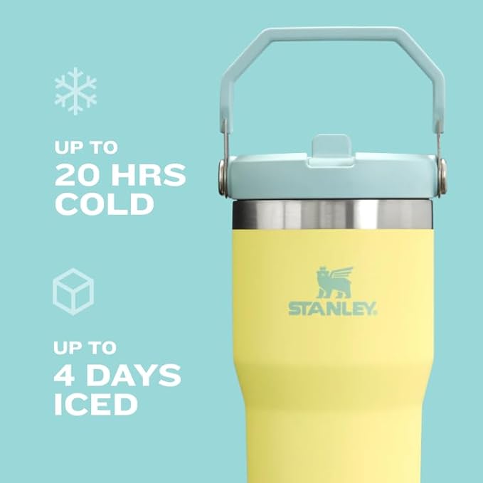Stanley IceFlow Flip Straw Tumbler with Handle 30 oz | Twist On Lid and Flip Up Straw | Leak Resistant Water Bottle | Insulated Stainless Steel |BPA-Free | Lilac
