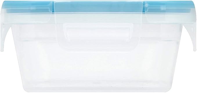 Snapware Total Solutions (3 Cup) Plastic Food Storage Containers Set, Airtight & Leakproof Locking BPA-Free Lids Tupperware, Freezer Dishwasher Microwave Safe (Pack of 10)