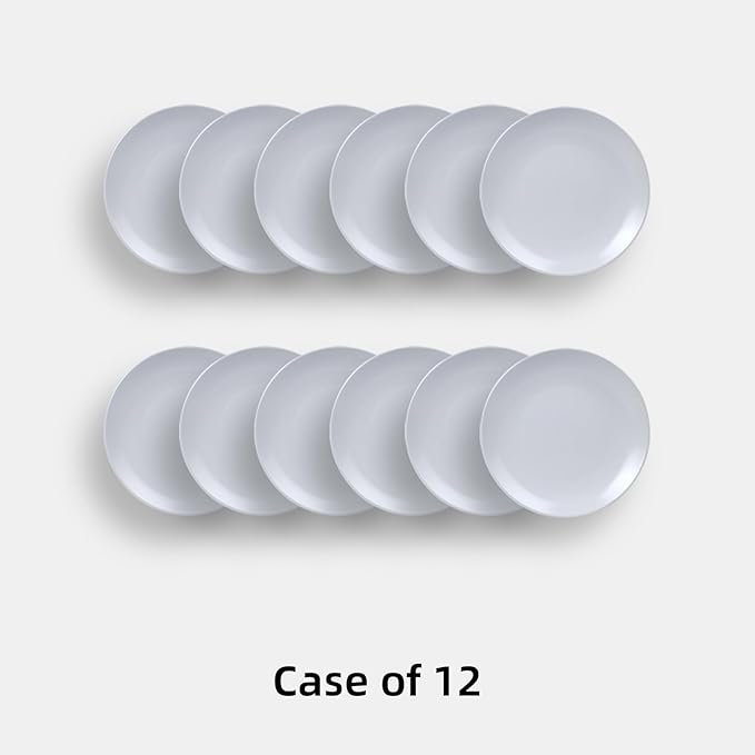 Stoneware Coupe Commercial Grade Dinnerware, Matte White, Plate 10.5", Case of 12