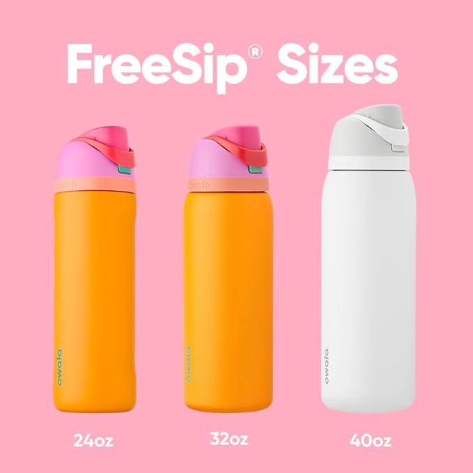Owala FreeSip Insulated Stainless Steel Water Bottle with Straw for Sports and Travel, BPA-Free Sports Water Bottle, 24 oz, Grey/Grey, Due North