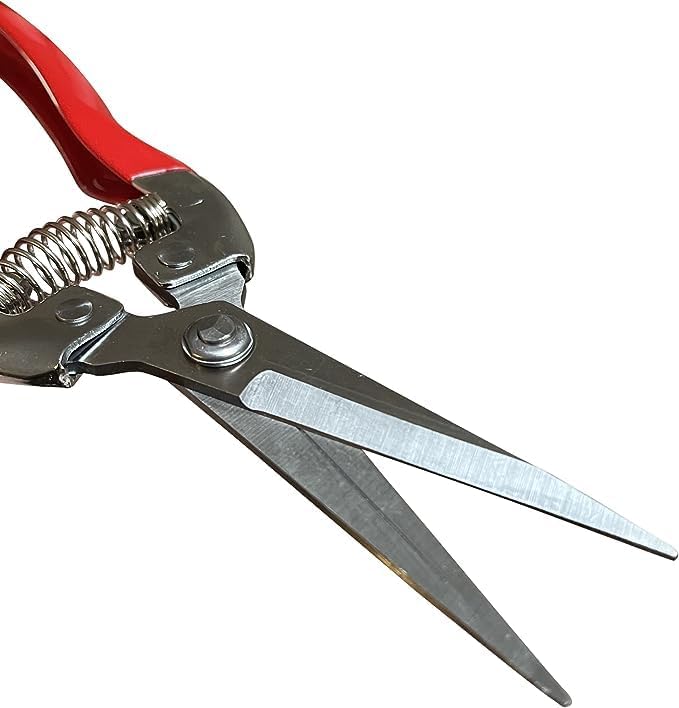 Garden Guru Straight Stainless Steel Pruner Pruning Shears Clippers Snips – Sharp Bonsai Cutter Plant Trimming Scissors – Straight Blade Garden Scissors Tool – Great for Roses Flowers Herbs Fruits