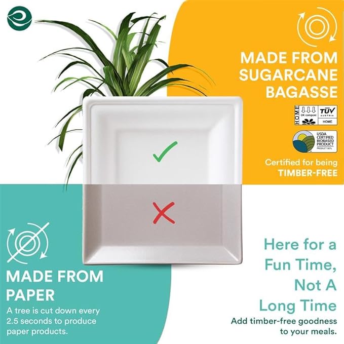 ECO SOUL Compostable Paper Plates 10 Inch (100 Count) Heavy Duty Disposable Dessert Plates, Eco-Friendly Sugarcane Bagasse Small Plates For Appetizer- White