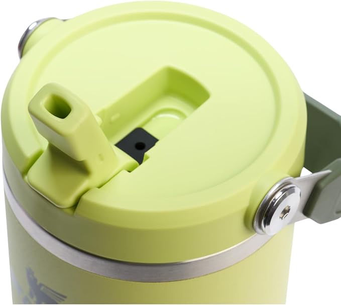 STANLEY IceFlow 2.0 Flip Straw Tumbler with Handle 30 oz | Twist On Lid and Flip Up Straw | Leakproof Water Bottle | Insulated Stainless Steel | BPA-Free | Prickly Pear