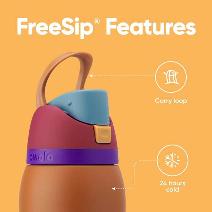Owala FreeSip Insulated Stainless Steel Water Bottle with Straw for Sports and Travel, BPA-Free Sports Water Bottle, 24 oz, Grey/Grey, Due North
