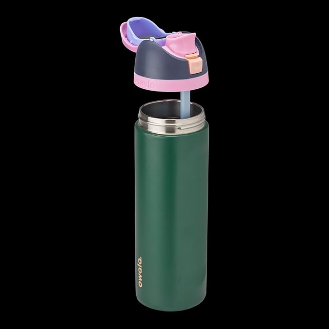 Owala FreeSip Insulated Stainless Steel Water Bottle with Straw for Sports and Travel, BPA-Free Sports Water Bottle, 24 oz, Blue/Green Forest Fairy