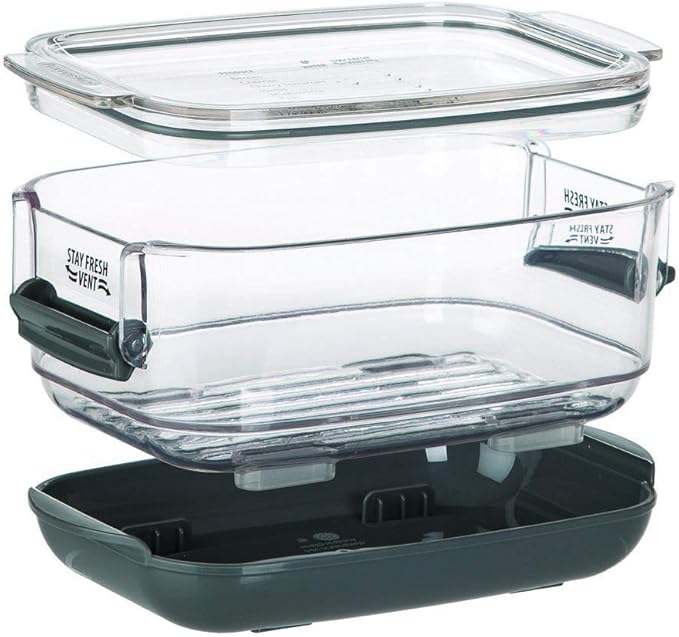 Progressive Berry ProKeeper, 1.2-Quart, Strawberries, Blueberry, Fruit Vegetable Container,Black