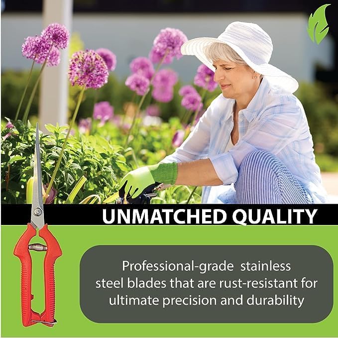 Garden Guru Extra Long Stainless Steel Pruner Pruning Shears Clippers Snips Sharp Bonsai Cutter Plant Trimming Scissors Straight Blade Garden Scissors Tool Great for Roses Flowers Herbs Fruits(2 Pack)