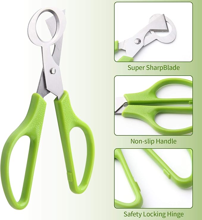 Calary 3Pcs Quail Egg Cutter Scissors Kitchen Egg Shears Tool (Green)