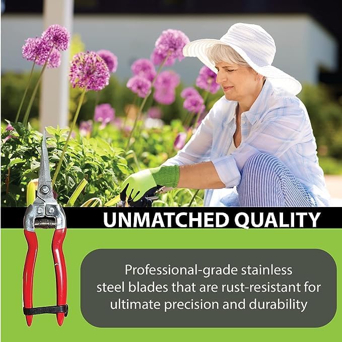 Garden Guru Straight Stainless Steel Pruner Pruning Shears Clippers Snips – Sharp Bonsai Cutter Plant Trimming Scissors – Straight Blade Garden Scissors Tool – Great for Roses Flowers Herbs Fruits