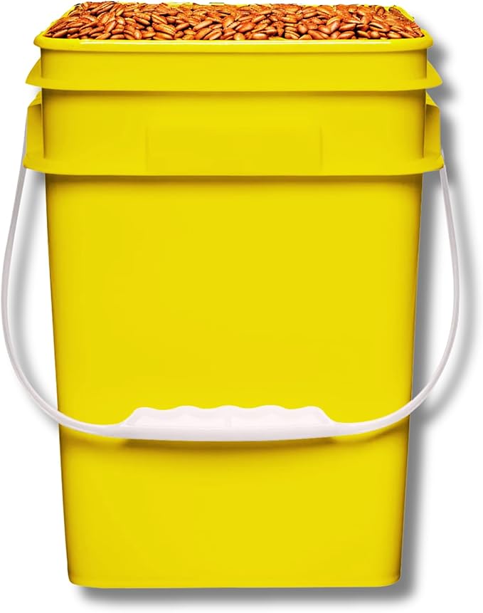 House Naturals 4 Gallon Square Food Grade Bucket Pail with Plastic Handles and Lid (Pack of 3) Made in USA containers (Yellow-Green-Red)