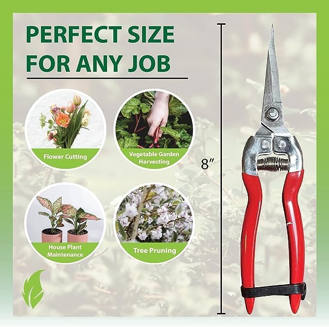 Garden Guru Straight Stainless Steel Pruner Pruning Shears Clippers Snips – Sharp Bonsai Cutter Plant Trimming Scissors – Straight Blade Garden Scissors Tool – Great for Roses Flowers Herbs Fruits
