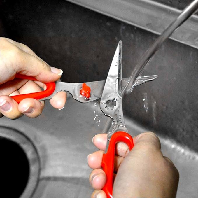 CANARY Japanese Food Scissors 6.8" Small Lightweight, Made in JAPAN, Dishwasher Safe Come Apart Blade, Easy Clean Kitchen Shears with Removable Blades, Rust Resistant Japanese Stainless Steel, Red