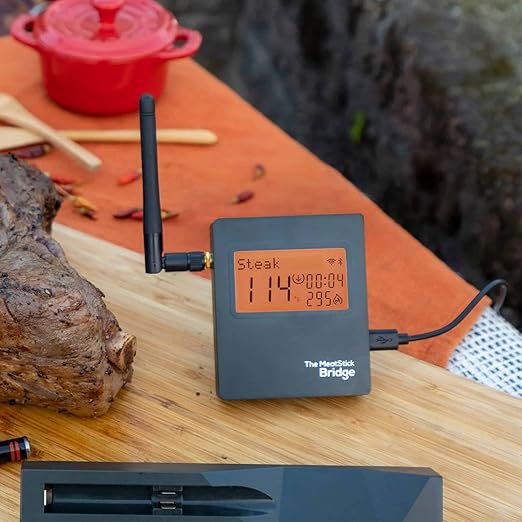 MeatStick WiFi Bridge