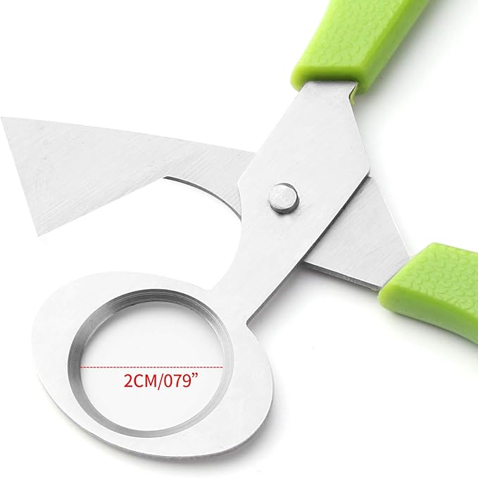 Calary 3Pcs Quail Egg Cutter Scissors Kitchen Egg Shears Tool (Green)