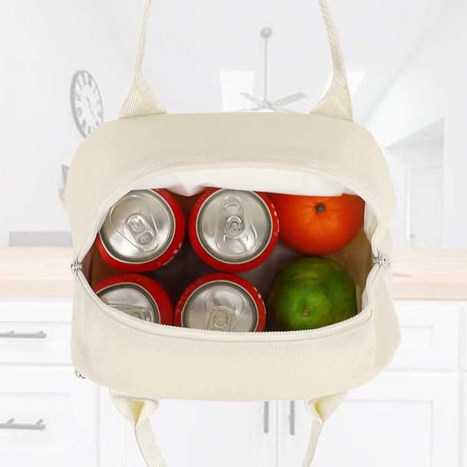 FlowFly Insulated Lunch Cooler Bag - Tote Bag Organizer for Women/Men, Beige