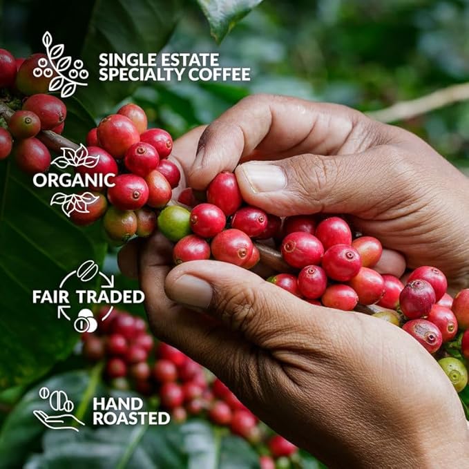 Christmas Coffee Gifts for Men & Women - 5 of the World's Finest Single Estate Specialty Coffees in Sampler Box for Coffee Lovers | Perfect Secret Santa Gift Set Idea with Unique Coffeebrewers