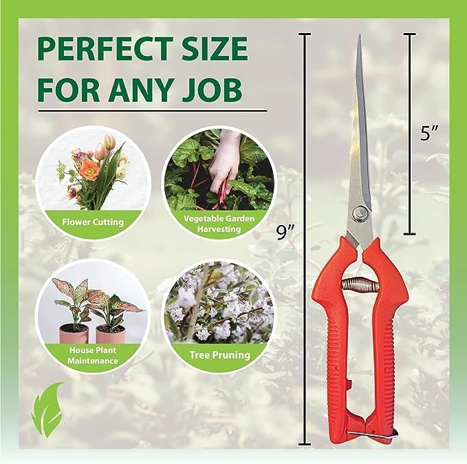 Garden Guru Extra Long Stainless Steel Pruner Pruning Shears Clippers Snips Sharp Bonsai Cutter Trimming Scissors Straight Blade Garden Scissors Tool Great for Roses Flowers Herbs Fruits (4 Pack)