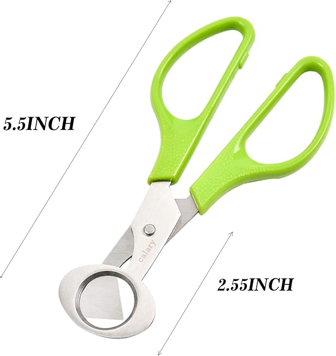 Calary 3Pcs Quail Egg Cutter Scissors Kitchen Egg Shears Tool (Green)