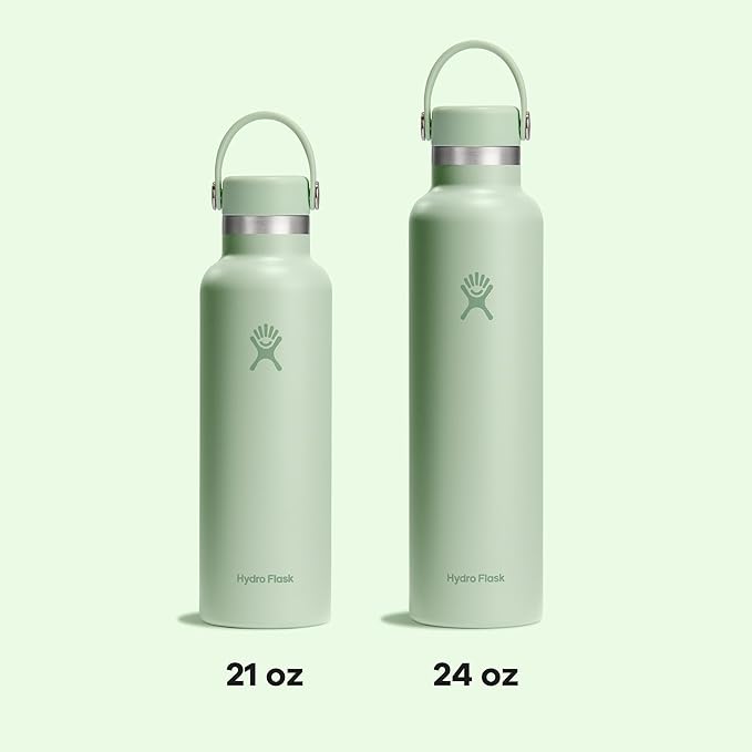 Hydro Flask Water Bottle - Insulated Stainless Steel - Non Spill, Leakproof in 24 Oz Aloe Green