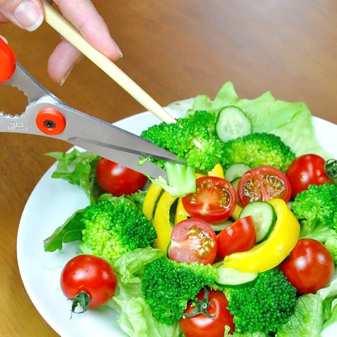 CANARY Japanese Food Scissors 6.8" Small Lightweight, Made in JAPAN, Dishwasher Safe Come Apart Blade, Easy Clean Kitchen Shears with Removable Blades, Rust Resistant Japanese Stainless Steel, Red