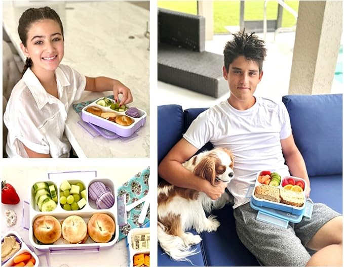 Bento Lunch Box for Kids or Adults, Snack Containers for Boys, Girls, School Daycare Work, 3 Divided Compartments Meal Planning Portion Control, BPA-Free Boxes, Utensils | Blue Purple 2 pack