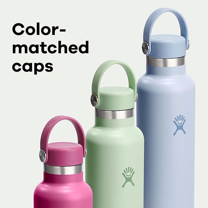 Hydro Flask Water Bottle - Insulated Stainless Steel - Non Spill, Leakproof in 24 Oz Birch Gray