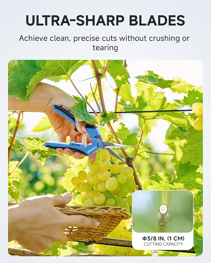 Fondwell 6.5" Gardening Scissors Trimming Shears: 2 Pack of Trimming Scissors for Buds - Comfortable Hand Pruners with Curved Blades
