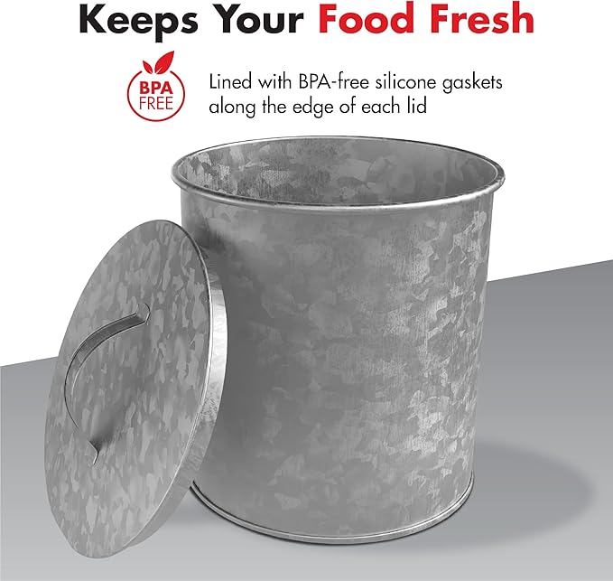 Amici Home Newport Galvanized Metal Canister | Dry Food Storage Container | Airtight Lid | 156 Ounce Capacity | Farmhouse Décor | Rustic Metal Canister for Kitchen Countertop (Silver)
