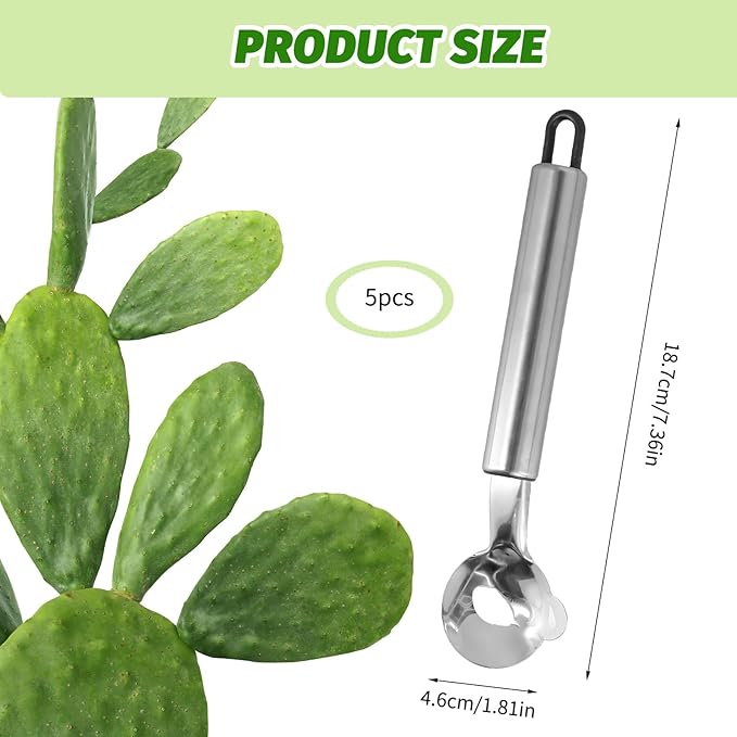 5 PCS Cactus Peeler Tool, Multifunctional Cactus Peeling Knife Tool, 7.48x1.81in Ergonomic Design, Easy to Clean, Suitable for Cooking Cactus Noodles in the Kitchen