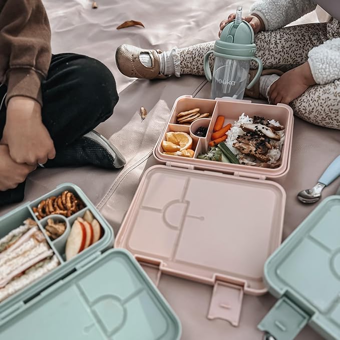 nouka Design Bento Lunch Box | Easy to Open Latches | Spill Proof Design | 6-Compartment Removable Tray | Fairy Bush