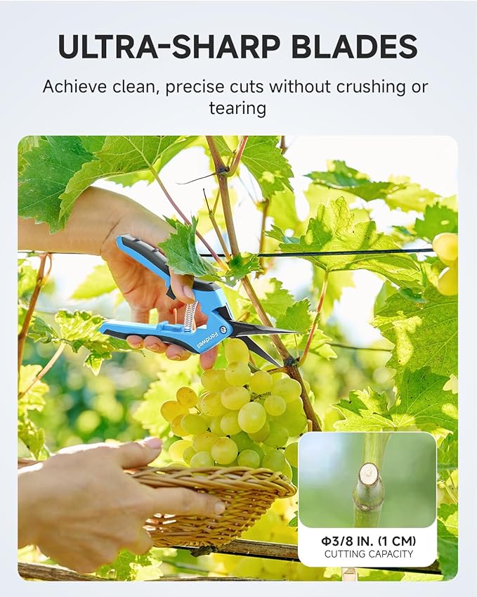 Fondwell 6.5" Pruning Shears Garden Scissors: 2 Pack of Ultra Sharp Trimming Scissors with Non-Stick Teflon Coating - Reliable Flower Snips for Managing Small Plants