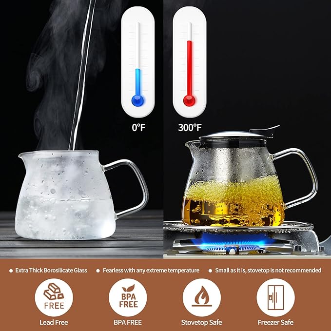 Glass Teapot Tea Pot with Removable Stainless Steel Infuser, 25oz / 760ml Borosilicate Glass Tea Kettle for Office Work, Fine Strainer for Loose Leaf Tea