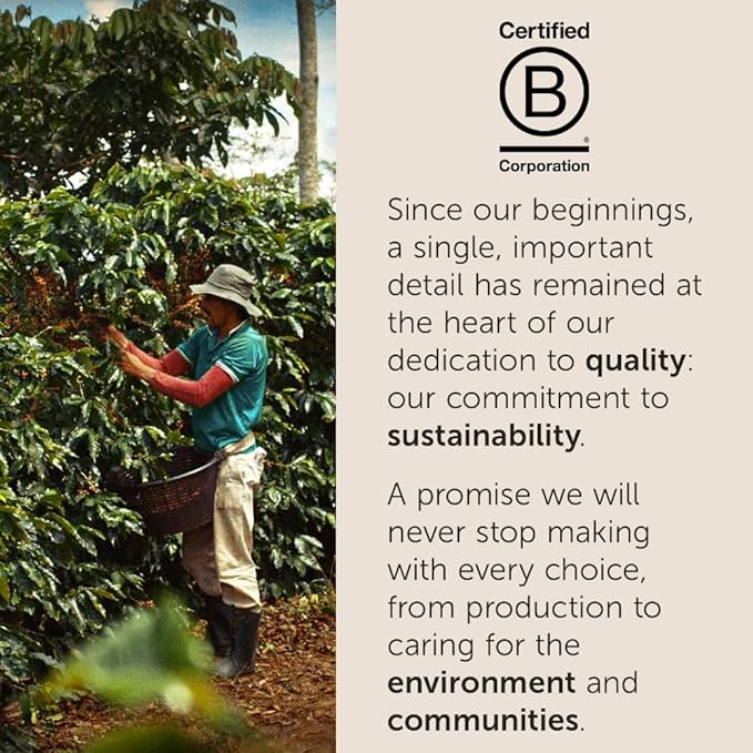 illy Arabica Selections Brasile - Cerrado Mineiro Ground Coffee, Regenerative Agriculture Coffee, 8.8oz (Pack of 1)
