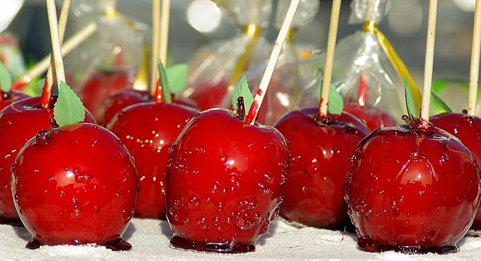 100 Count | KingSeal Natural Bamboo Wood Candy Apple Skewers, Sticks, 5.5 Inch x 6.5mm diameter, Blunt Point for Safety, Retail Pack - 2 Packs of 50 (100 Count)