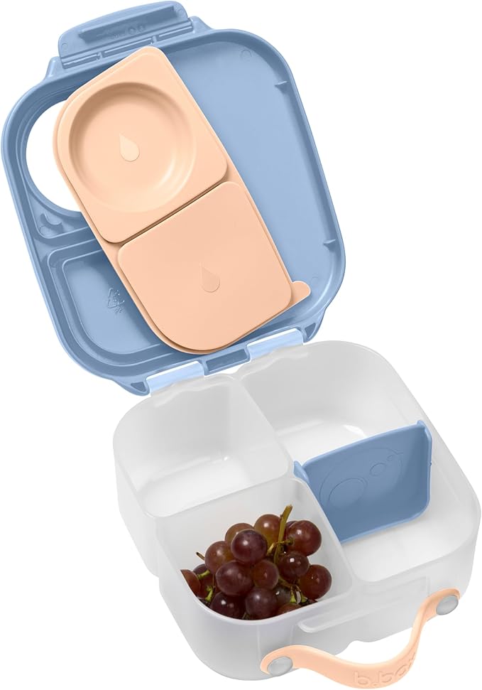 b.box Mini Lunch Box, Bento Box for Kids, Snack Container with 2 Leak Proof Compartments, Reusable Snack Containers with Lids, Kids Lunch Boxes Ages 3+, BPA Free, 4 1/4 Cup Capacity (Feelin' Peachy)