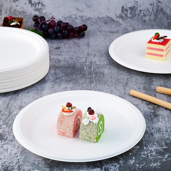 Vplus 500 Pack Compostable Disposable Paper Plates 10.25 inch Super Strong Paper Plates 100% Bagasse Natural Biodegradable Eco-Friendly Sugarcane (white)