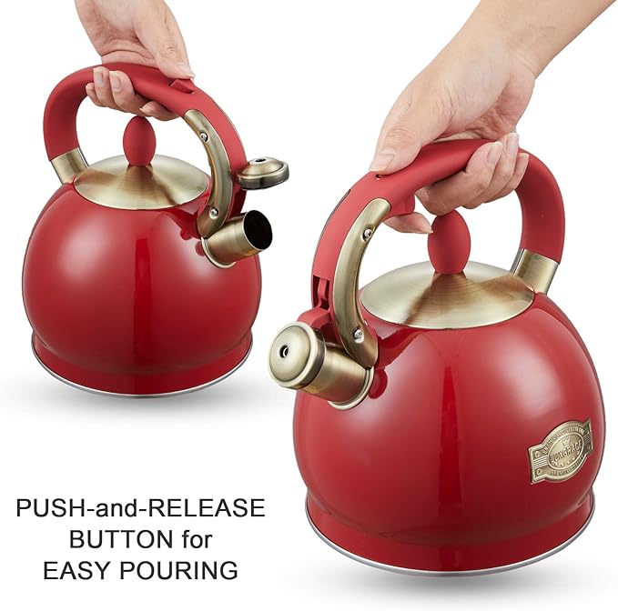 Tea Kettle -2.8 Quart Tea Kettles Stovetop Whistling Teapot Stainless Steel Tea Pots for Stove Top Whistle Tea Pot