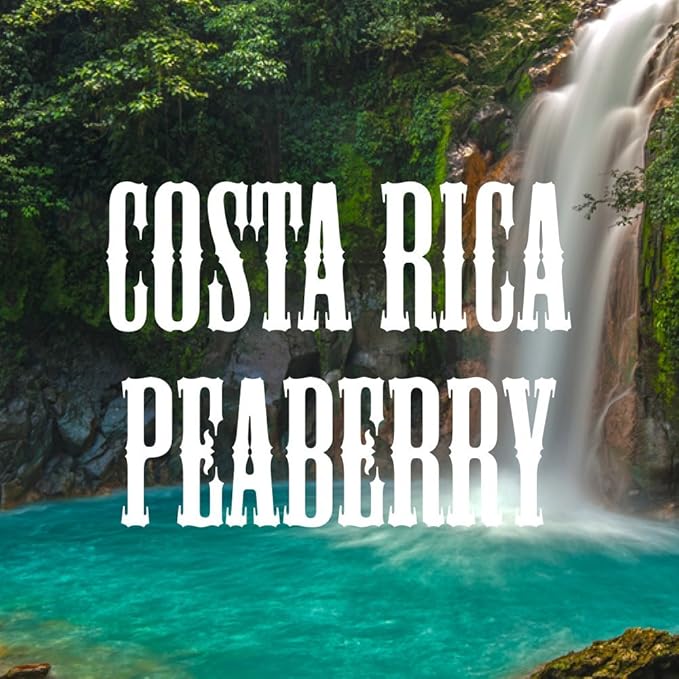 Costa Rica Peaberry Coffee, Whole Bean, Medium Roast, Fresh Roasted, 16-ounce