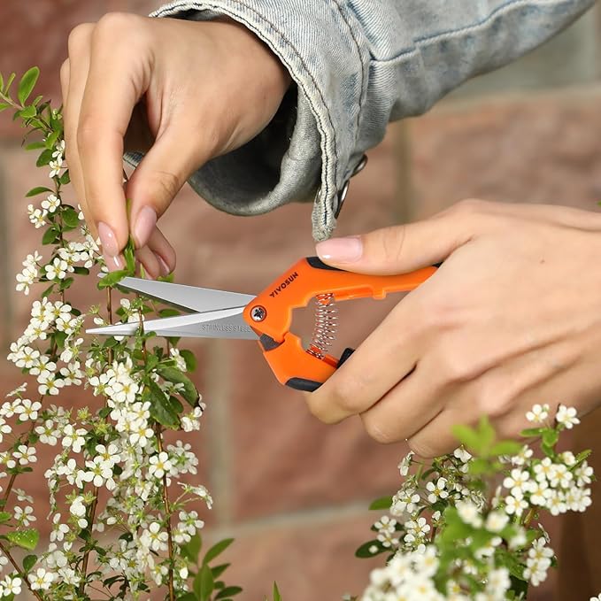 VIVOSUN 6-Pack 6.5 Inch Gardening Scissors Hand Pruner Pruning Shear with Straight Stainless Steel Blades Orange
