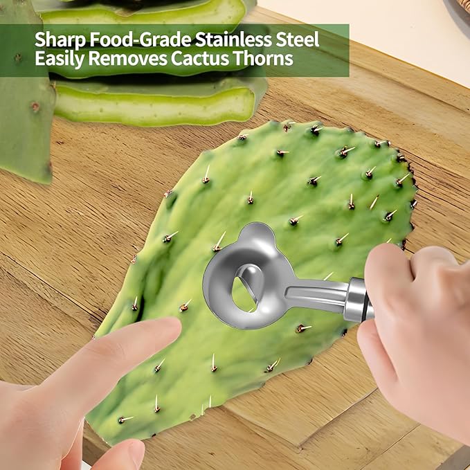2 PCS Cactus Peeler Tool – Cactus Peeling Spoon, Pelador de Nopales, Multi-Function Nopal Cactus Cutter, Stainless Steel Nopales Peeler with Groove Edge for Peeling Nopales and Noodle