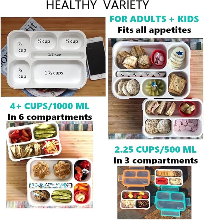 Bento Box Lunch Boxes and Snack Containers for Kids Girls Boys | Leakproof Portion Container Kits BPA Free | Value Pack Set of 4 | Teal Orange Large + MINI, Value 4 pack