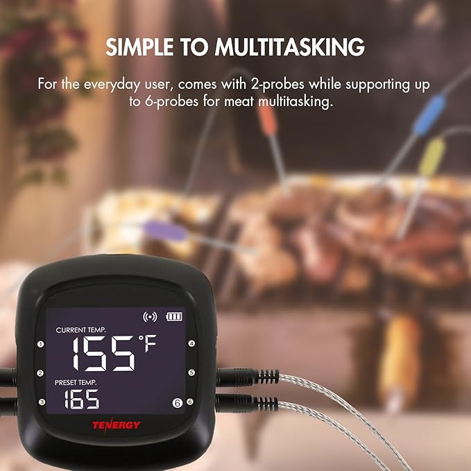 Tenergy Solis Digital Meat Thermometer, APP Controlled Wireless Bluetooth Smart BBQ Thermometer w/ 2 Stainless Steel Probes, Large LCD Display, & Carrying Case, Cooking Thermometer for Grill & Smoker