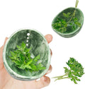 Herb Stripper, 4-Hole Design Pottery Herb Stripper,Handmade Ceramic Herb Stripper Bowl for Removing Leaves and Stems in the Kitchen (Green Glaze)