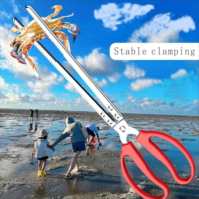 2 Piece Stainless Steel Crab Tong Eel Clamp Tong for Reptile Feeding Snake Charcoal Trash Pick - Up Seafood Picking for Low Tide